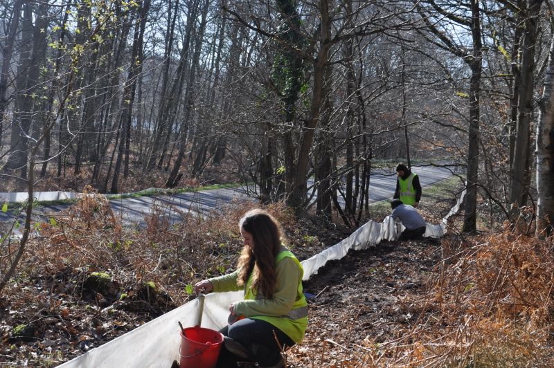 2013 02 25 Montage du crapaudrome 30